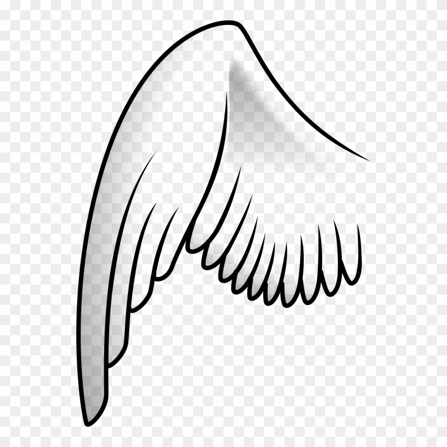 Wings 3 Clip Art - Left Angel Wing - Png Download