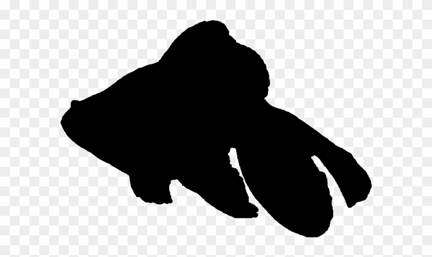 Goldfish Clipart Simple - Goldfish Clipart Silhouette - Png Download