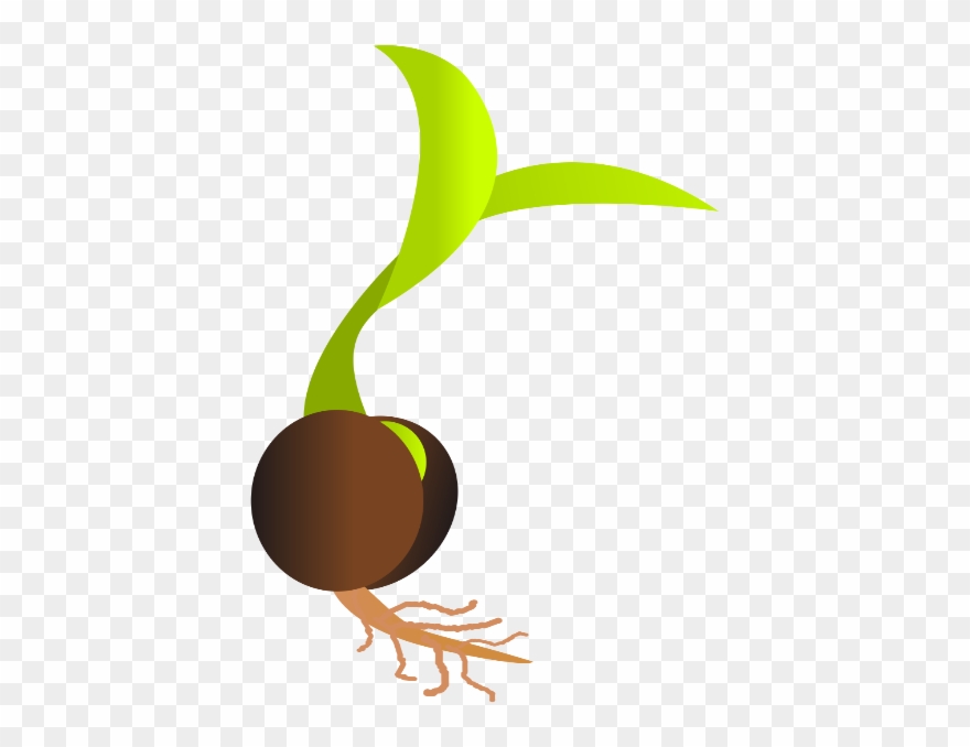 Clipart Transparent Library Plant Sprout Clipart - Seed Png