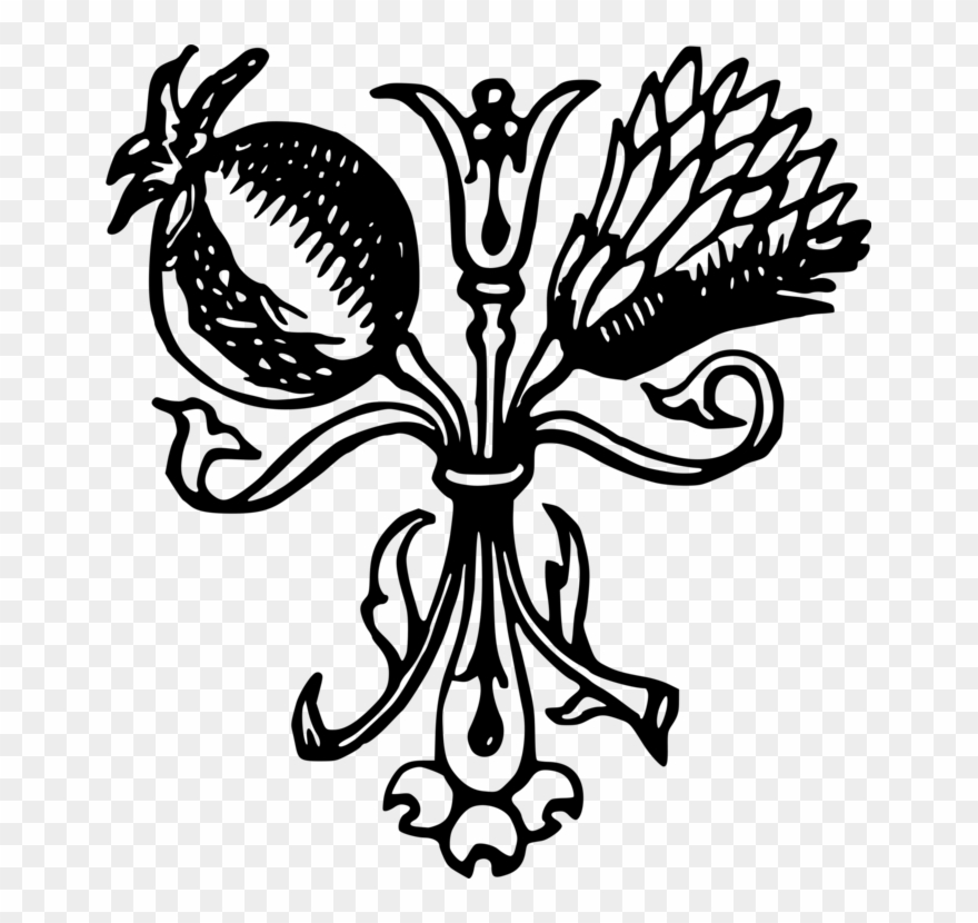 Flowering Plant Pollinator Line Art Plants - Clip Art - Png Download