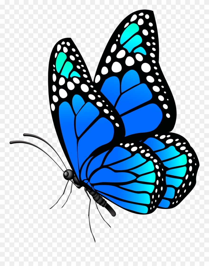 Butterfly Blue Png Clip Art Imageu200b Gallery Yopriceville Transparent Png
