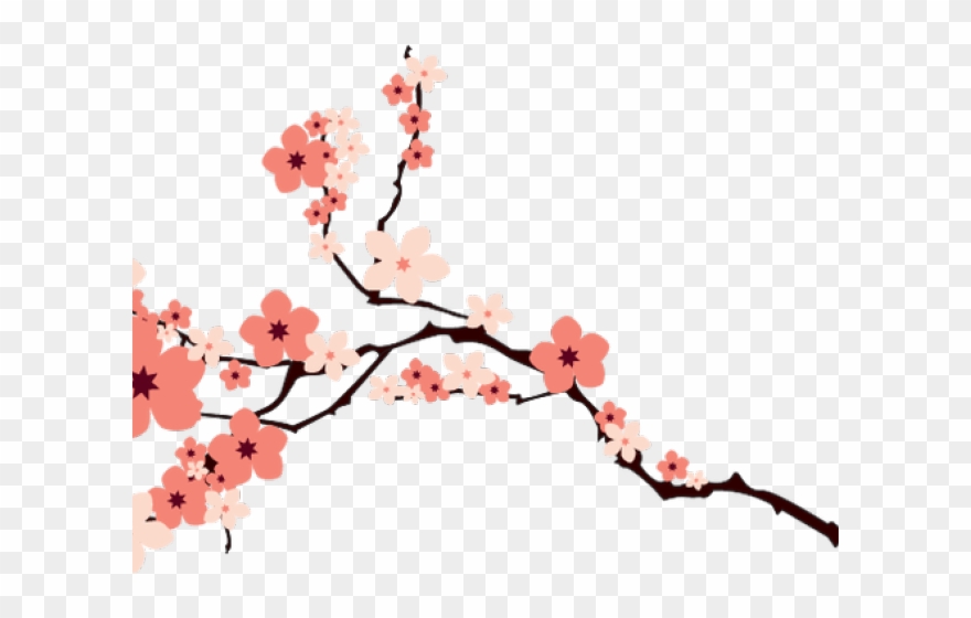 Cherry Blossom Clipart File - Cherry Blossoms Vector - Png Download