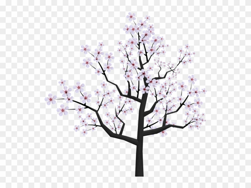 Cherry Tumblr At Getdrawings - Japanese Cherry Blossom Tree Cartoon Clipart