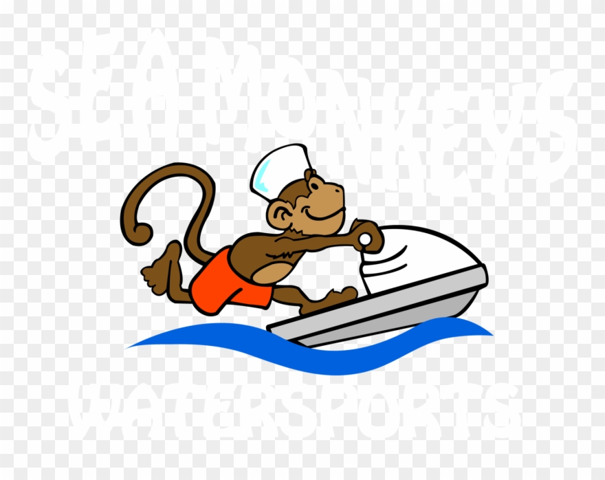 Nature Tours Sea Monkeys - Boat Clipart