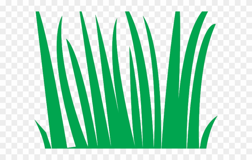 Lawn Clipart Simple - Gambar Rumput Animasi - Png Download