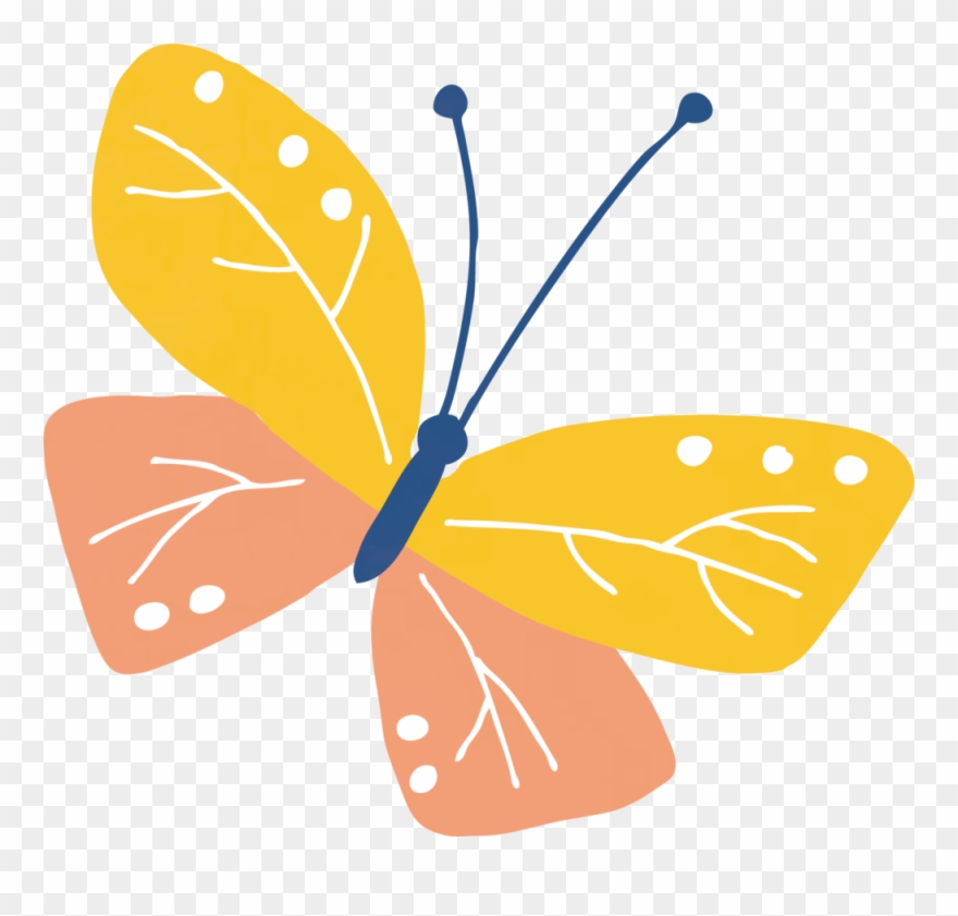 Summerparty2 - Knowledge Clipart