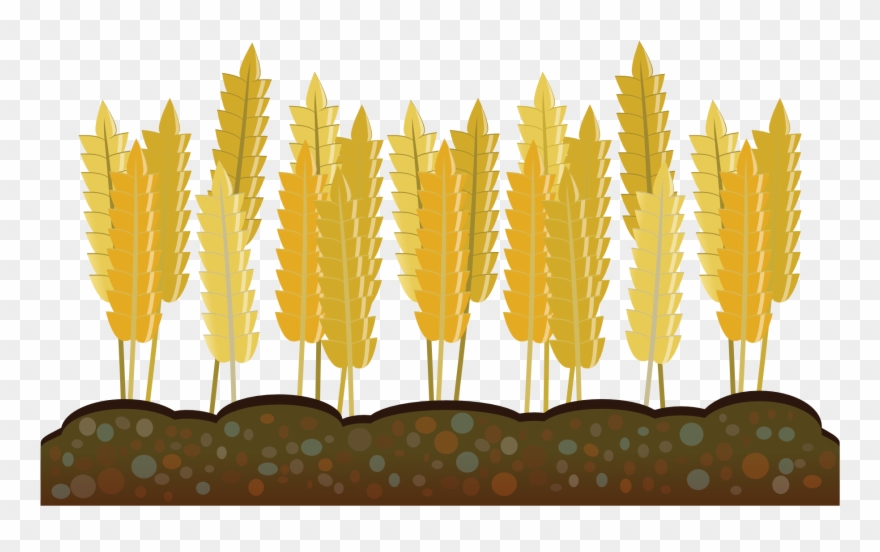 Vector Freeuse Agriculture Clipart Crop - Clip Art - Png Download