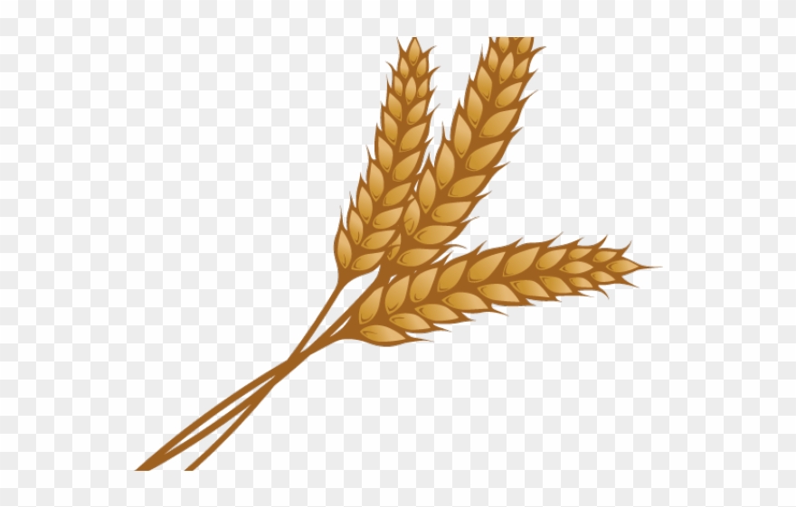 Wheat Clipart Single Piece - Wheat Clipart - Png Download