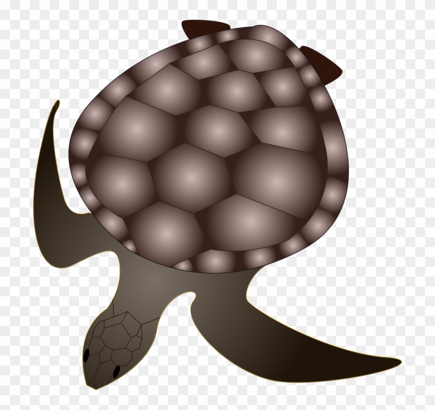 Tortoise Green Sea Turtle Reptile - Custom Sea Turtle Shower Curtain Clipart