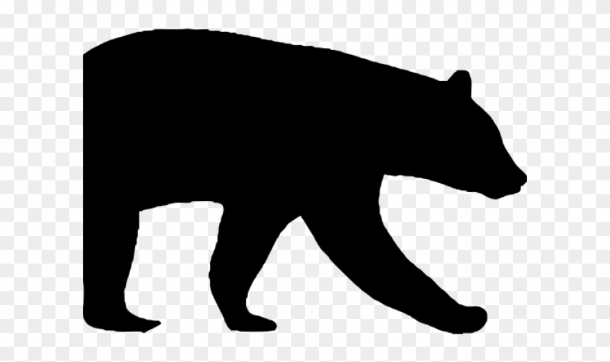 Grizzly Bear Clipart American Black Bear - American Black Bear - Png Download