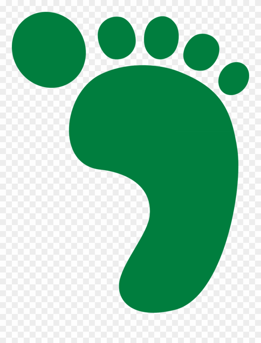 Footprint Clipart Tortoise - Foot Print - Png Download