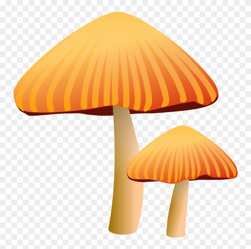 Free Vector Rockraikar Orange Mushroom Clip Art - Mushroom Clip Art - Png Download