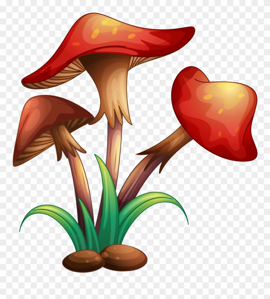 Фото, Автор Soloveika На Яндекс - Mushroom Illustration Clipart