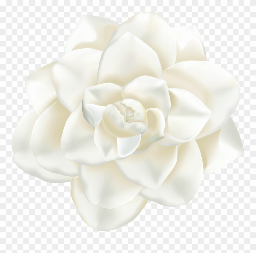 Flower Clipart Png Transparent Png