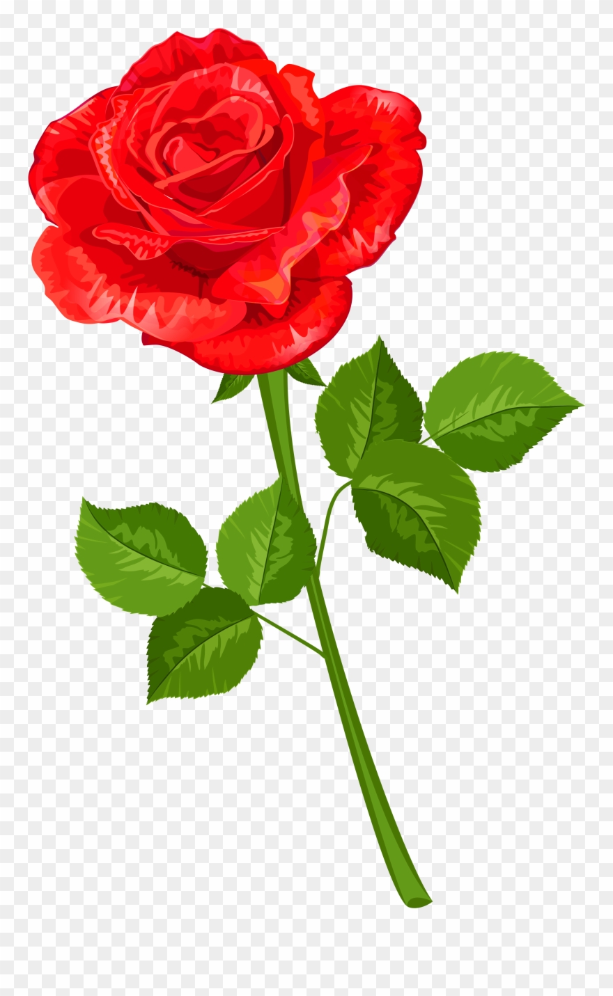 Яндекс - Фотки - Gulab Full Hd Png Clipart