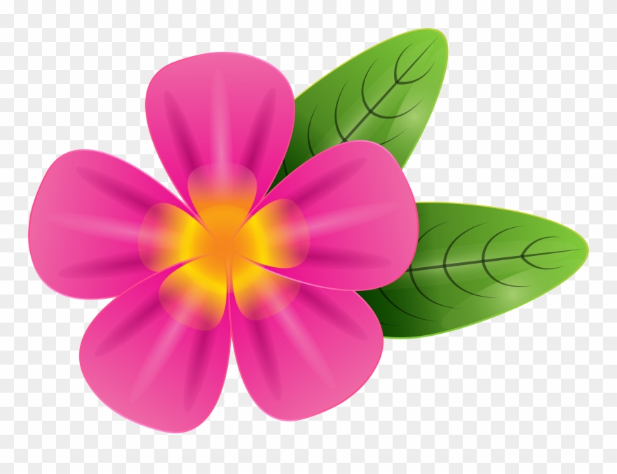 Frangipani Clipart Png Transparent Png