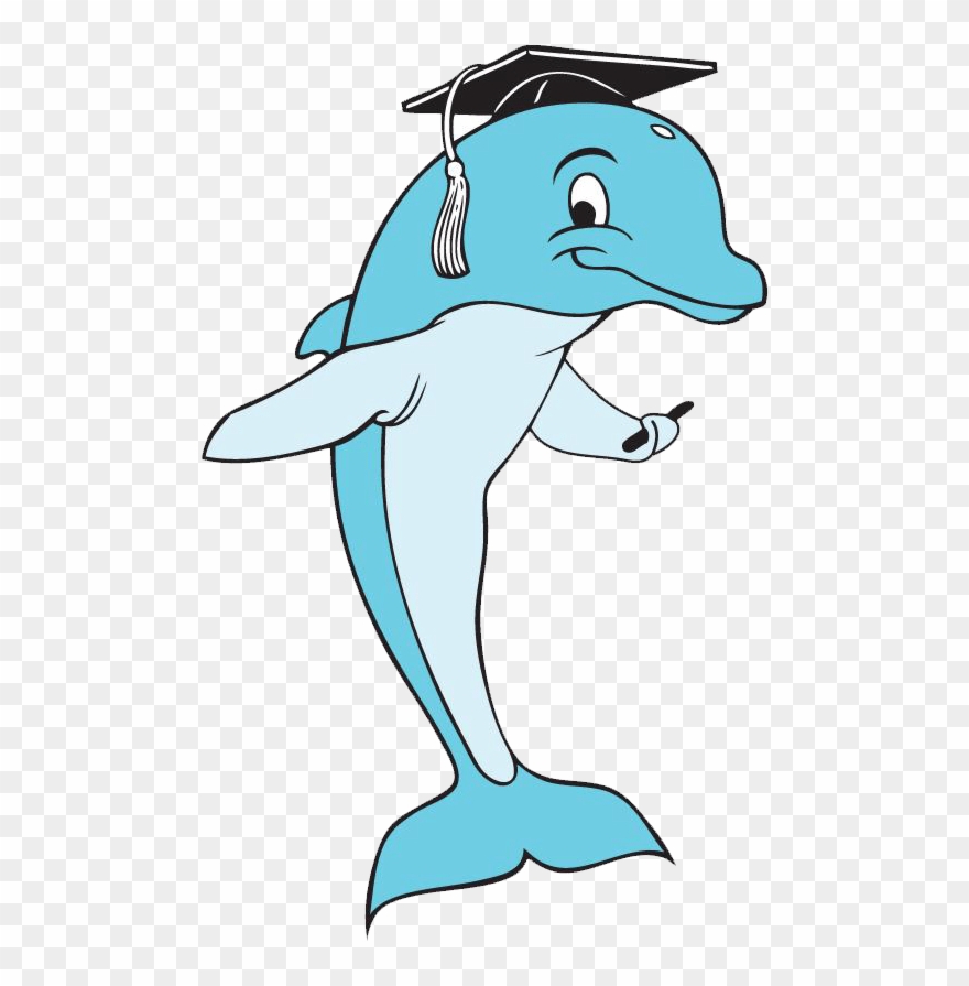 Dolphin With Graduation Cap Clipart
