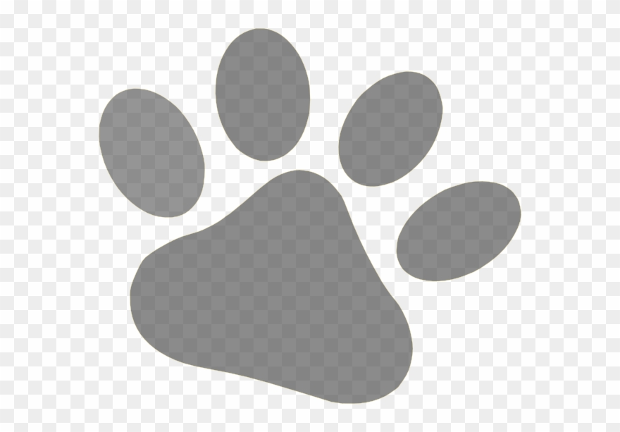 Dog Paw Clipart Transparent - Png Download