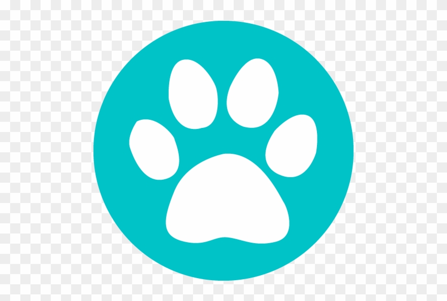 Paw Clipart Pet Sitting - Te37sl Pressed Graphite - Png Download