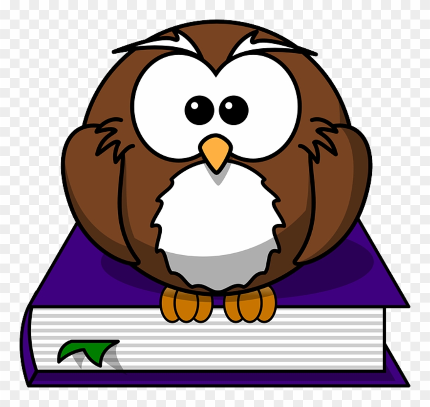 Cartoon Owl Shower Curtain Clipart