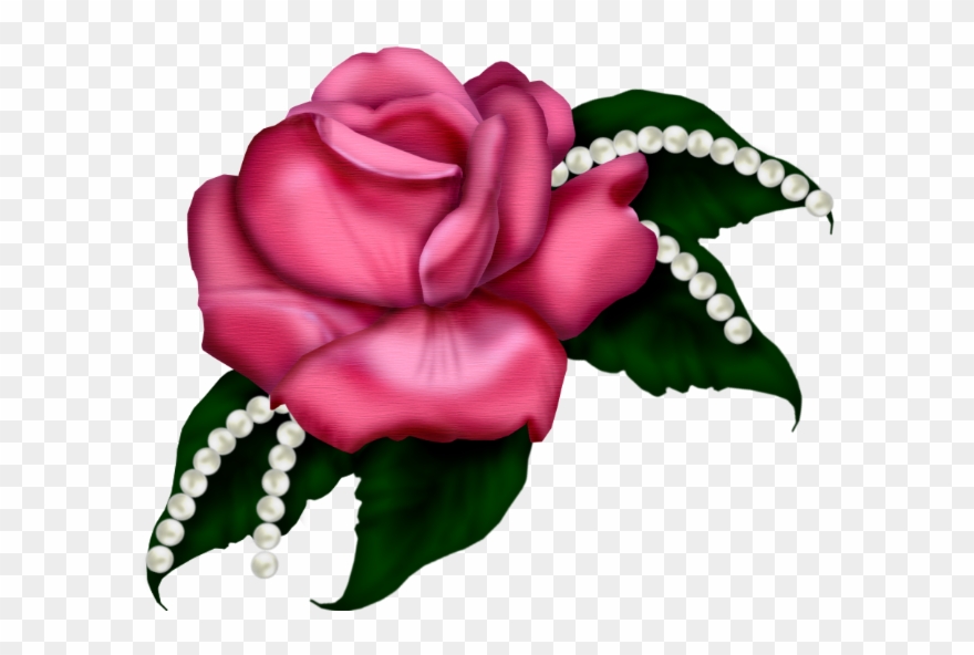 Flôres & Jardim E - Haben Sie Schöner Die Rote Rosen-blüte Der Mutter Karte Clipart