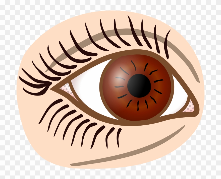 Medium Image - Simple Line Drawing Eye Clipart