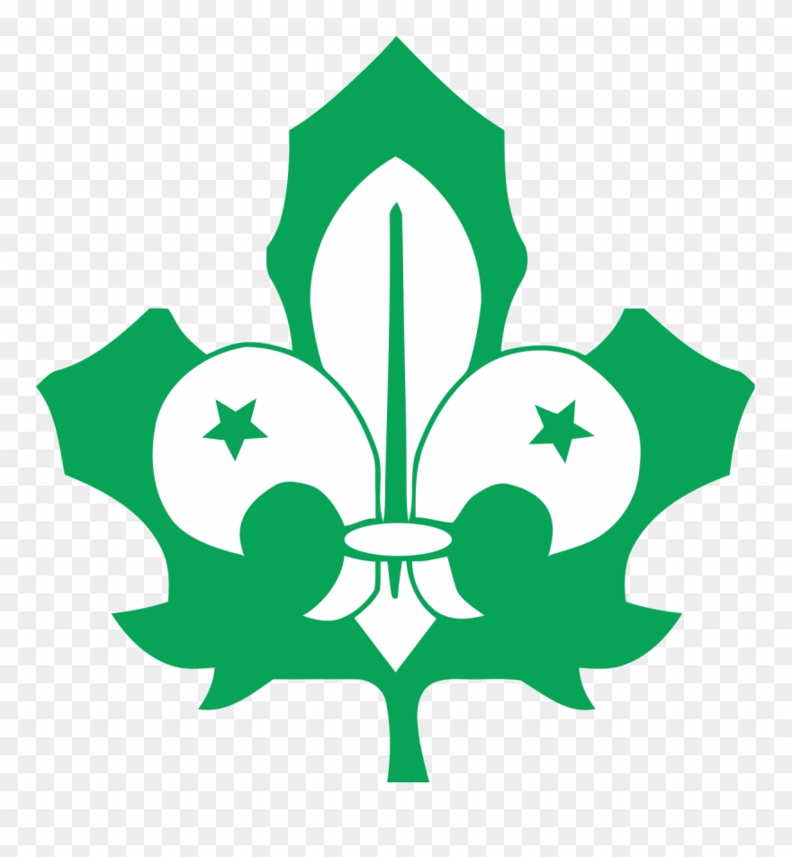 Lignin Hat Eine Braune Farbe, Dann Müssen Die Fasern - Savez Izviđača Bosne I Hercegovine Clipart