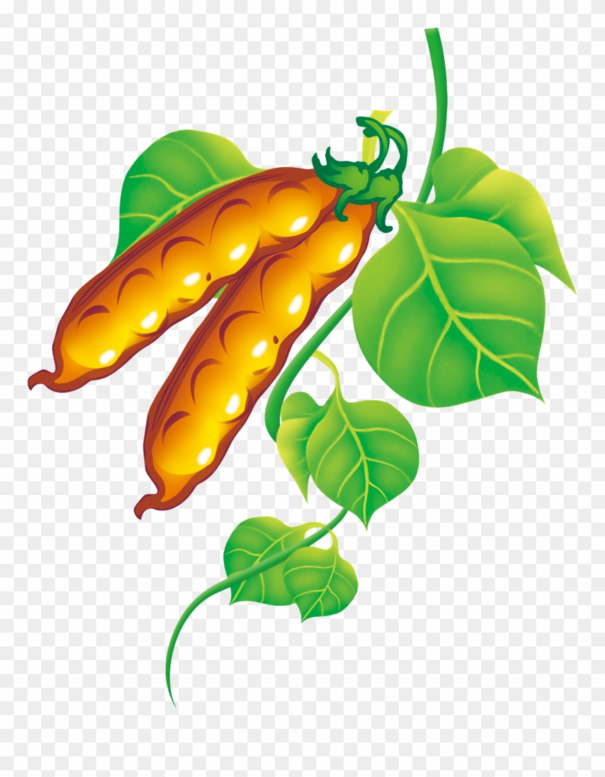 Pea Clipart Green Fruit Vegetable - Clip Art - Png Download