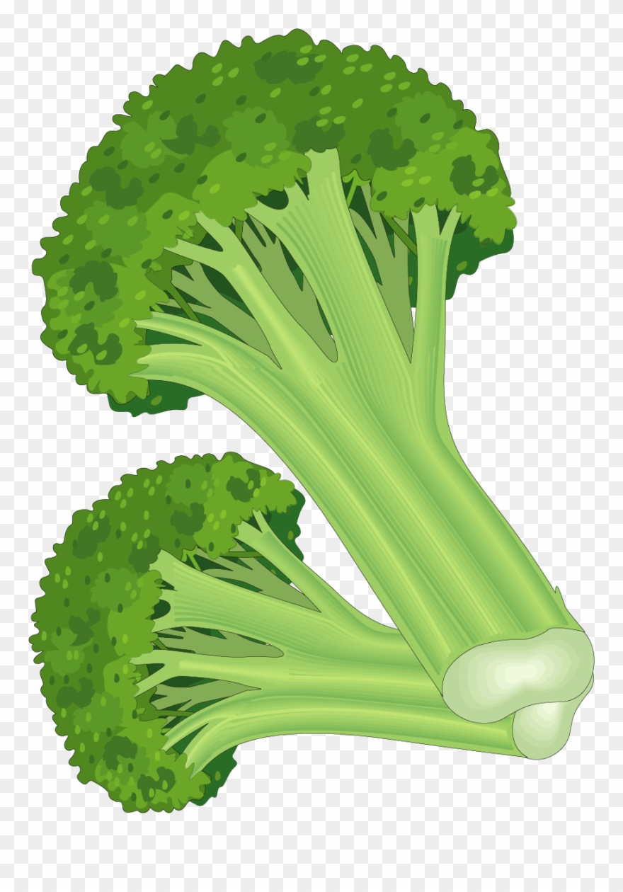 Leaf Vegetable Fruit Carrot Clip Art - Clip Art Of Vegetables - Png Download