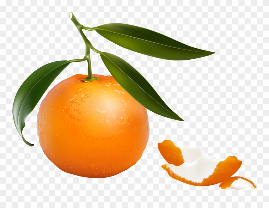 Фотки Fruits And Vegetables, Digi Stamps, Carrots, - Tangerine Clipart