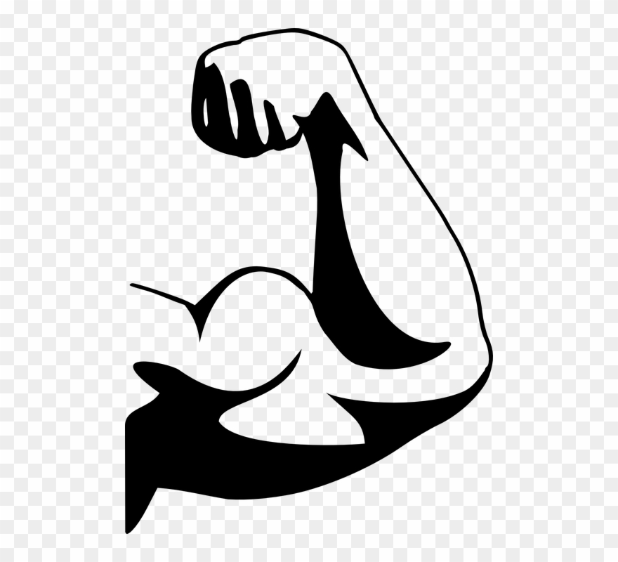 Biceps Clipart - Png Download