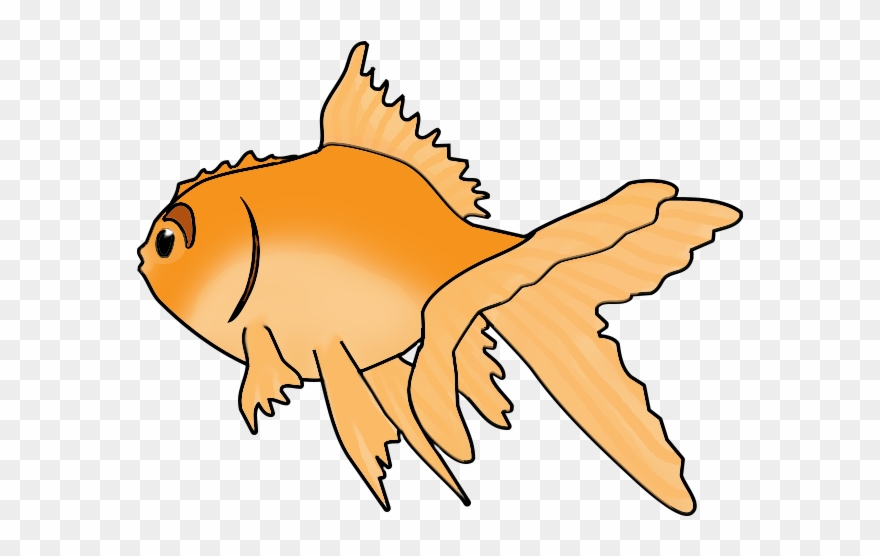 Fish Clip Art Clipart Royalty Free Stock - Clip Art - Png Download