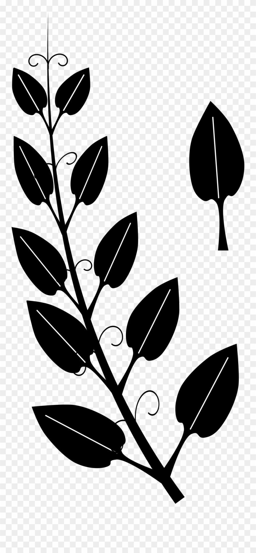 Collection Of Leaf Vine High Quality - Black And White Silhouette Vine Clipart - Png Download