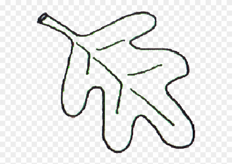 Leaf Clipart White Oak - Oak Leaf Coloring Pages - Png Download
