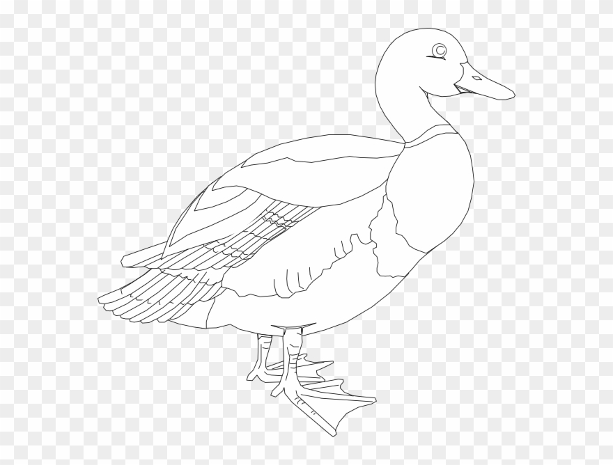 Clip Art - Png Download