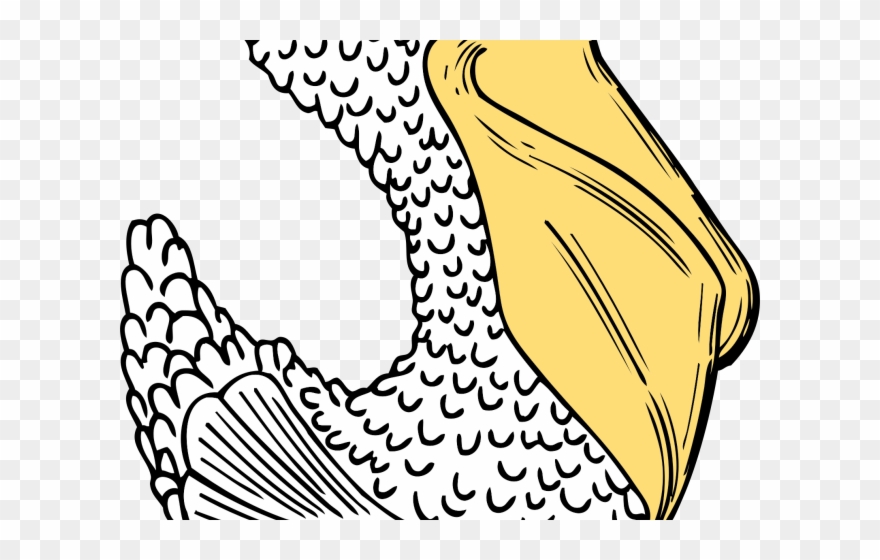 Duck Clipart Side View - Cartoon Pelican Shower Curtain - Png Download