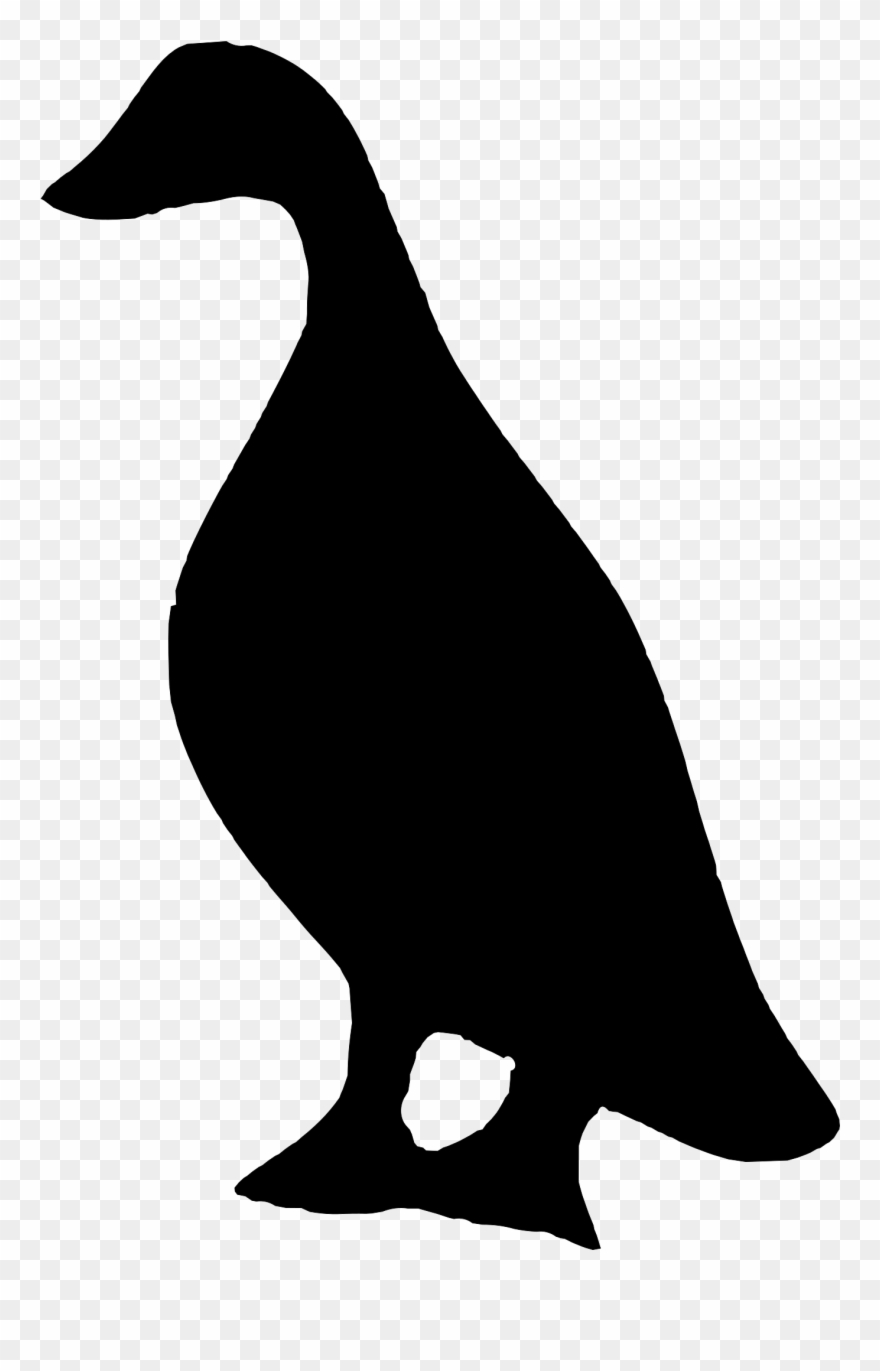 Clipart - Silhouette Of A Duck - Png Download