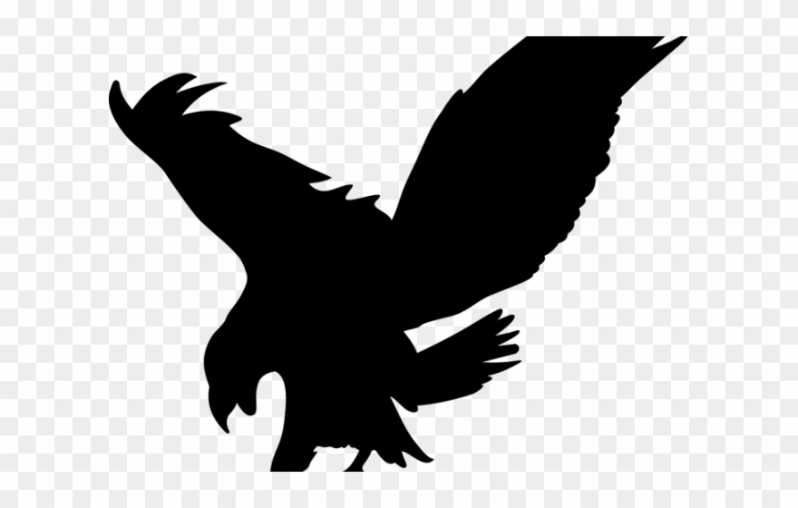 Bird Of Prey Clipart Transparent - Transparent Background Eagle Silhouette Png