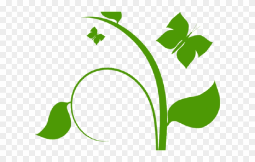 Flower Vine Clip Art - Png Download