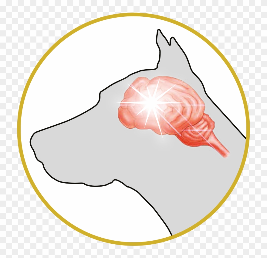 Omega-3 Benefits - - Illustration Clipart