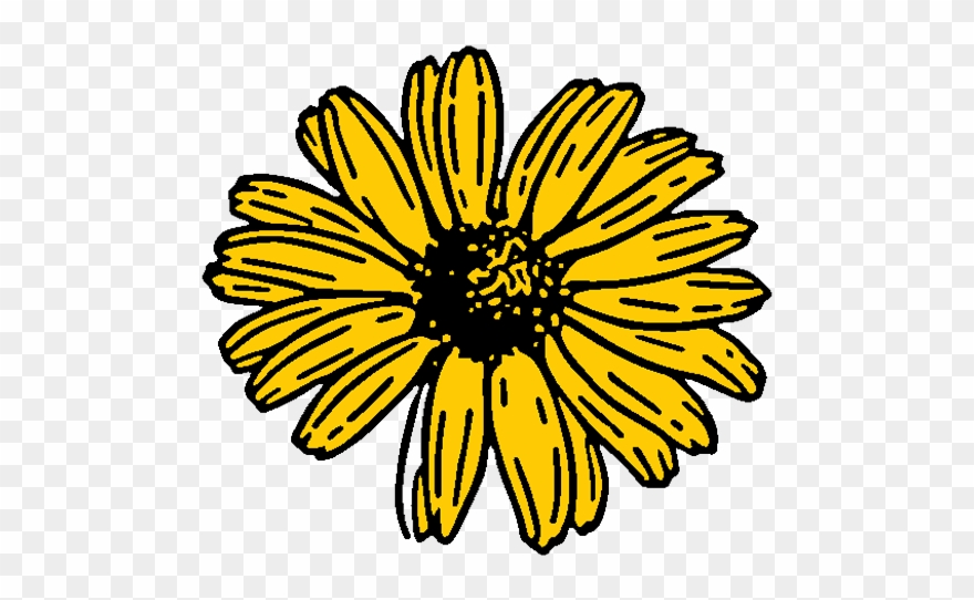 Tumblr Static Black Eyed Susan Clipart 3301792 Pinclipart