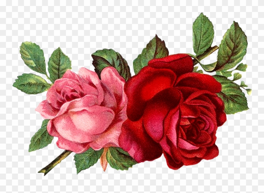 Flores Rojas Vintage Png Clipart