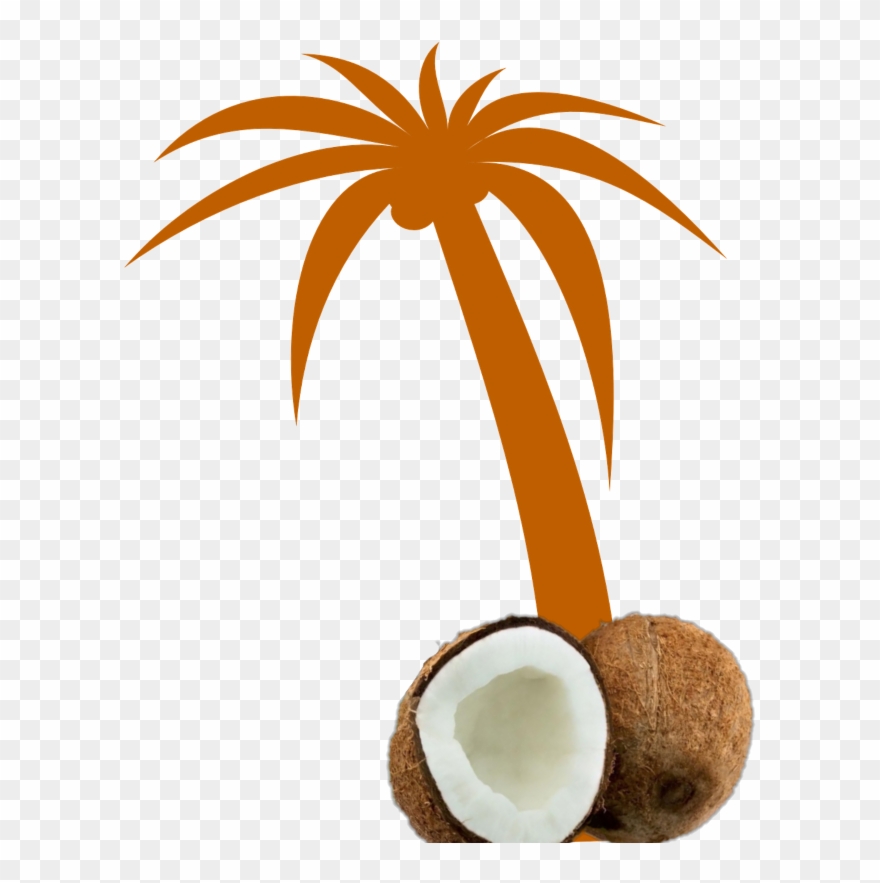 Mq Orange Palmtree Palm Coconut - Palm Tree Clip Art - Png Download