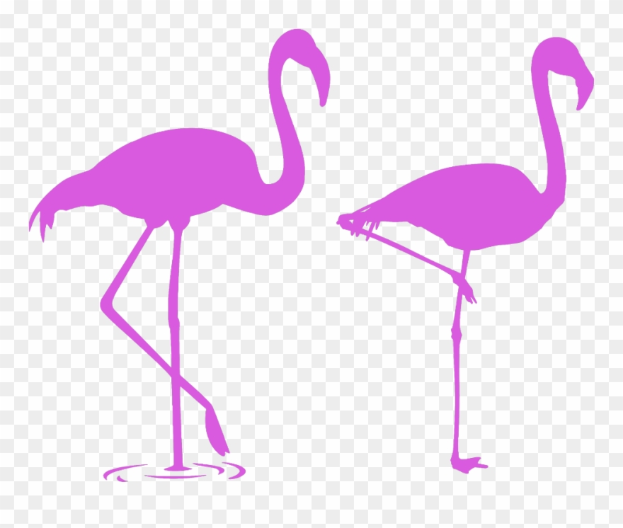 Mq Pink Flamingo Flamingos Silhouette - Flamencos Para La Pared Clipart