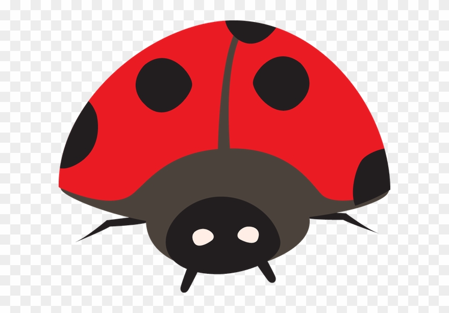 Joaninhas - Minus - Ladybug Clipart