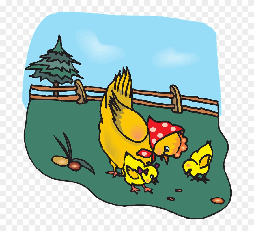 Clipart Of Feeds And Chicken Free - Png Download
