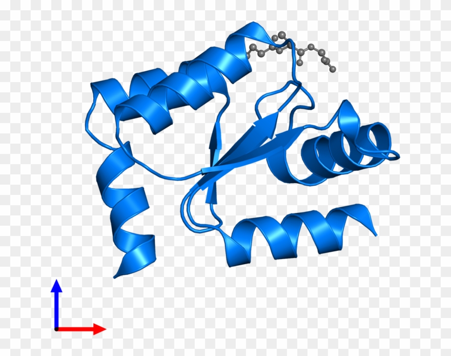 <div Class='caption-body'>pdb Entry 2fls Contains 1 - Graphic Design Clipart