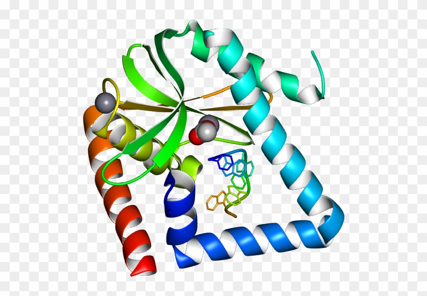 Database Information Clipart