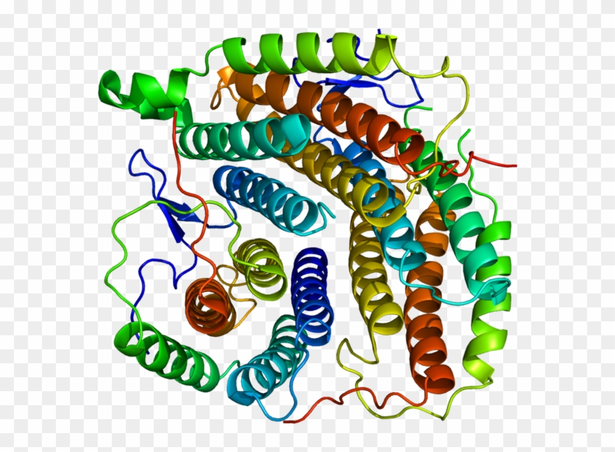 254 × 240 Pixels Clipart