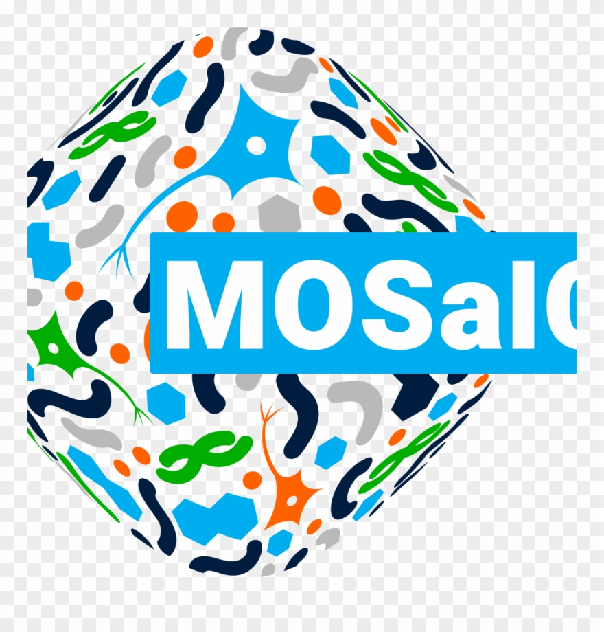 The Mosaic Project Funded By Era Chairs Horizon 2020 Clipart